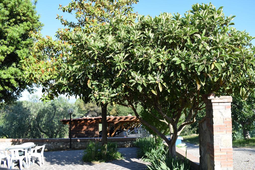 Agriturismo Amina, Winery & Hiking Vagliagli Kültér fotó