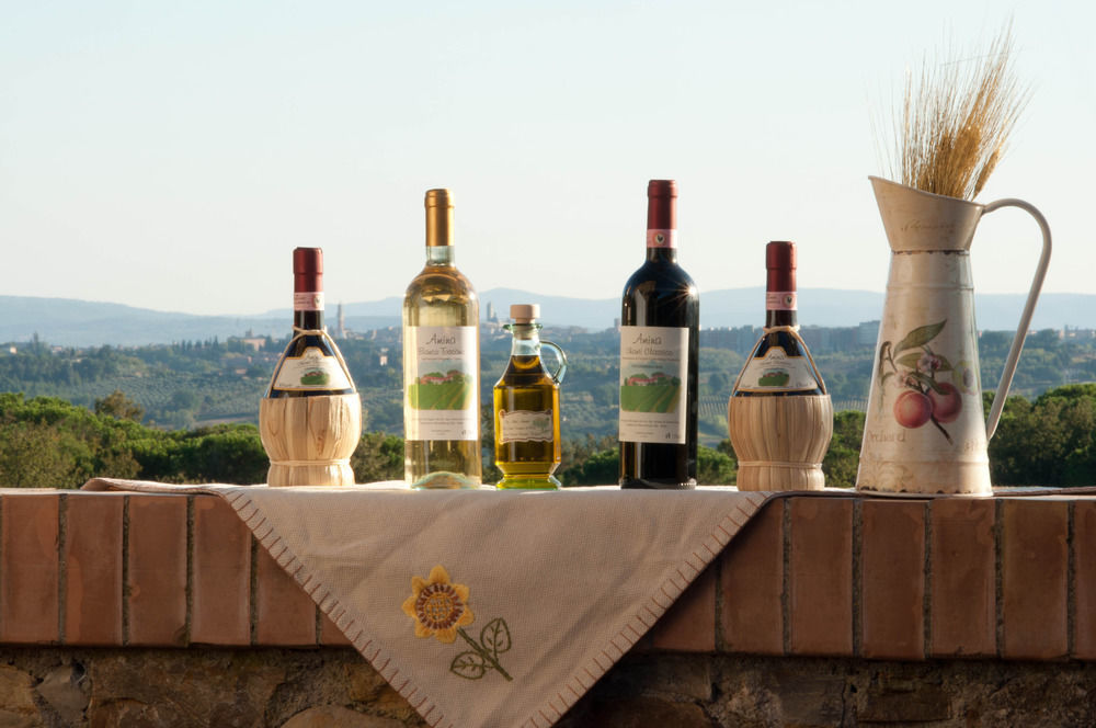 Agriturismo Amina, Winery & Hiking Vagliagli Kültér fotó