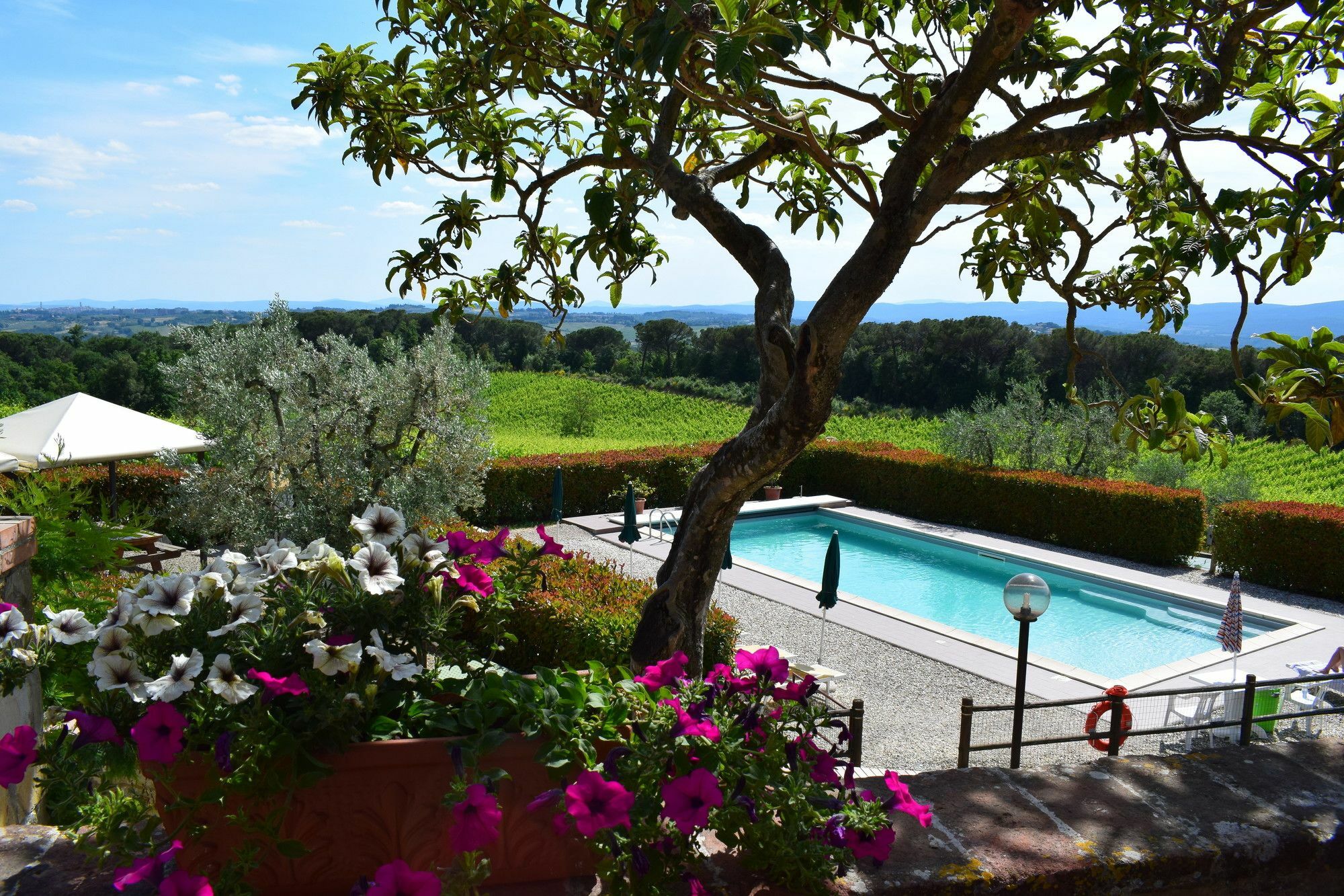 Agriturismo Amina, Winery & Hiking Vagliagli Kültér fotó