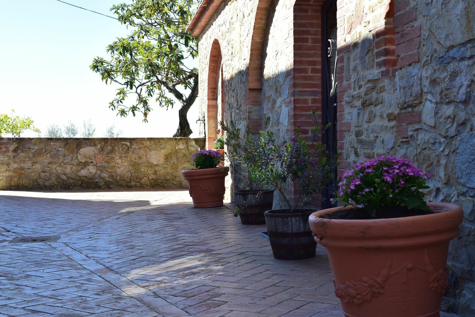 Agriturismo Amina, Winery & Hiking Vagliagli Kültér fotó