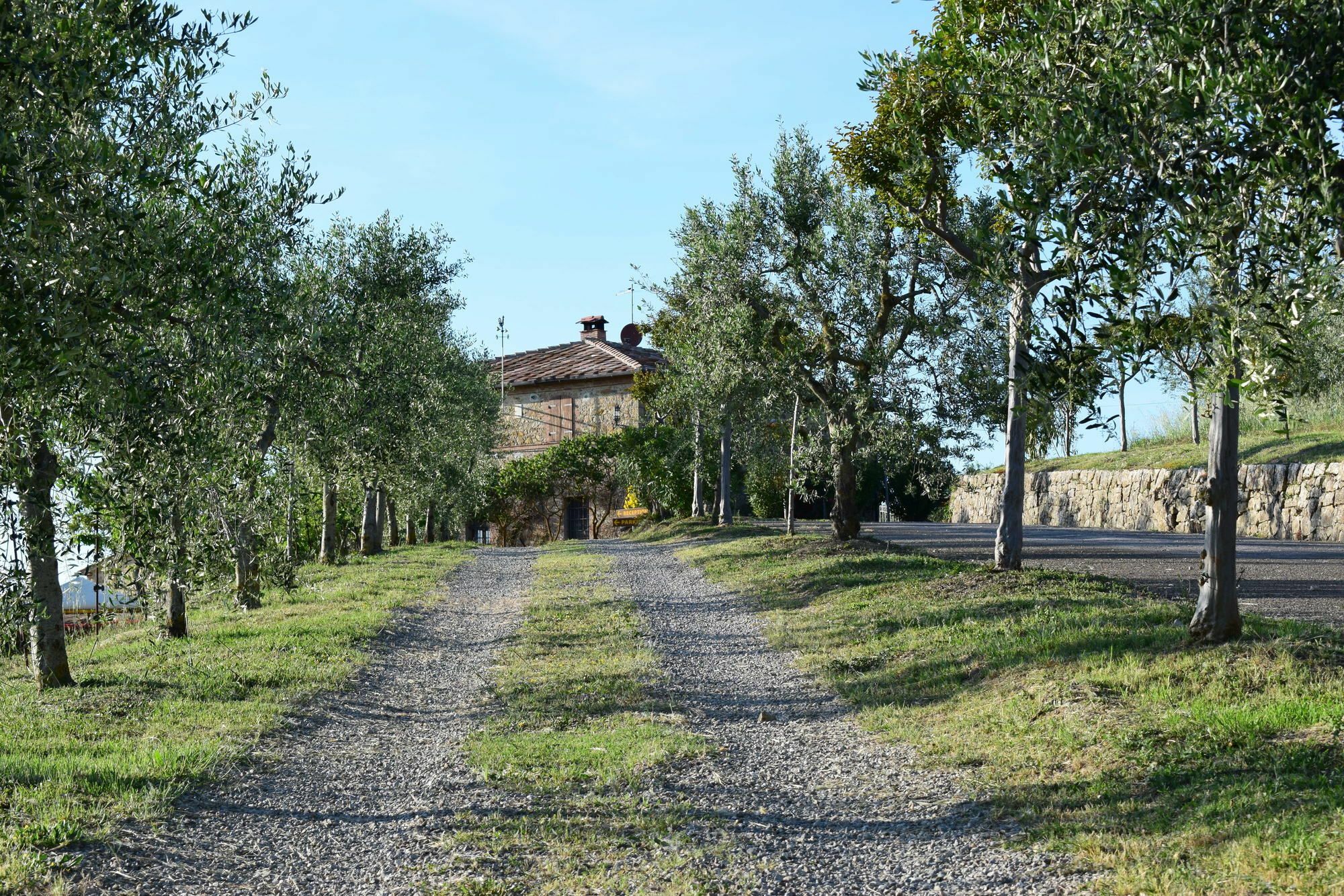 Agriturismo Amina, Winery & Hiking Vagliagli Kültér fotó
